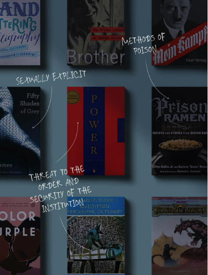 Screenshot of Banned Books Project
